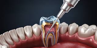Dr Bashis Dental Clinic