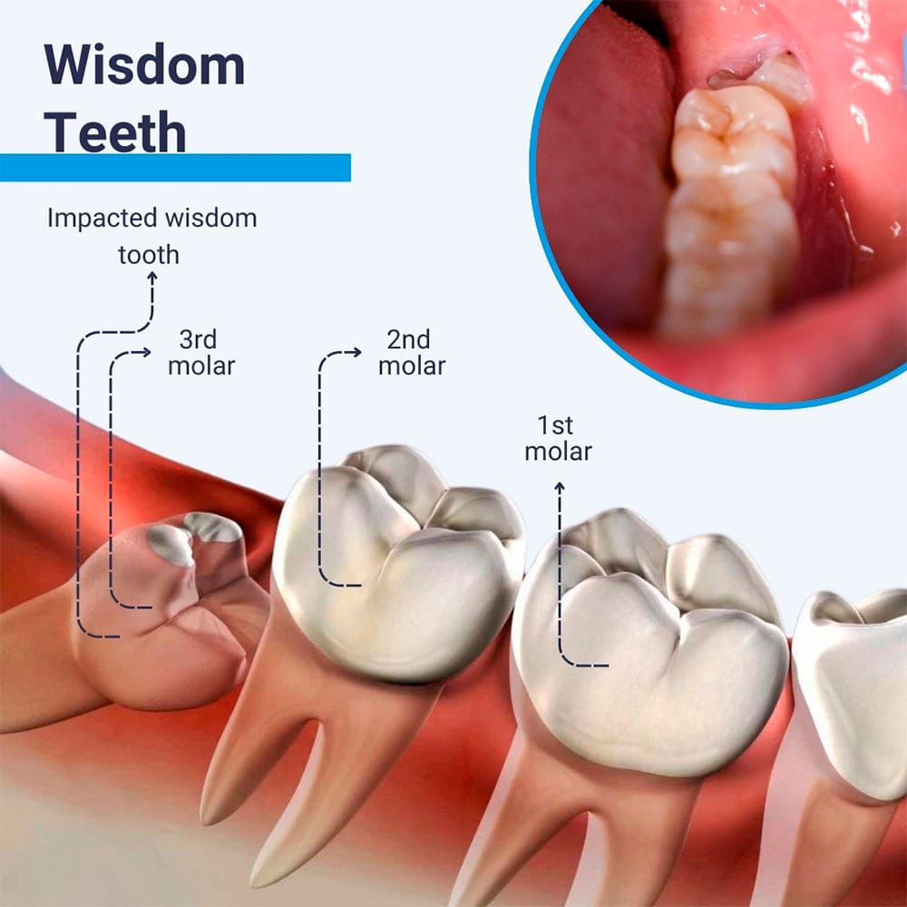 Dr Bashis Dental Clinic